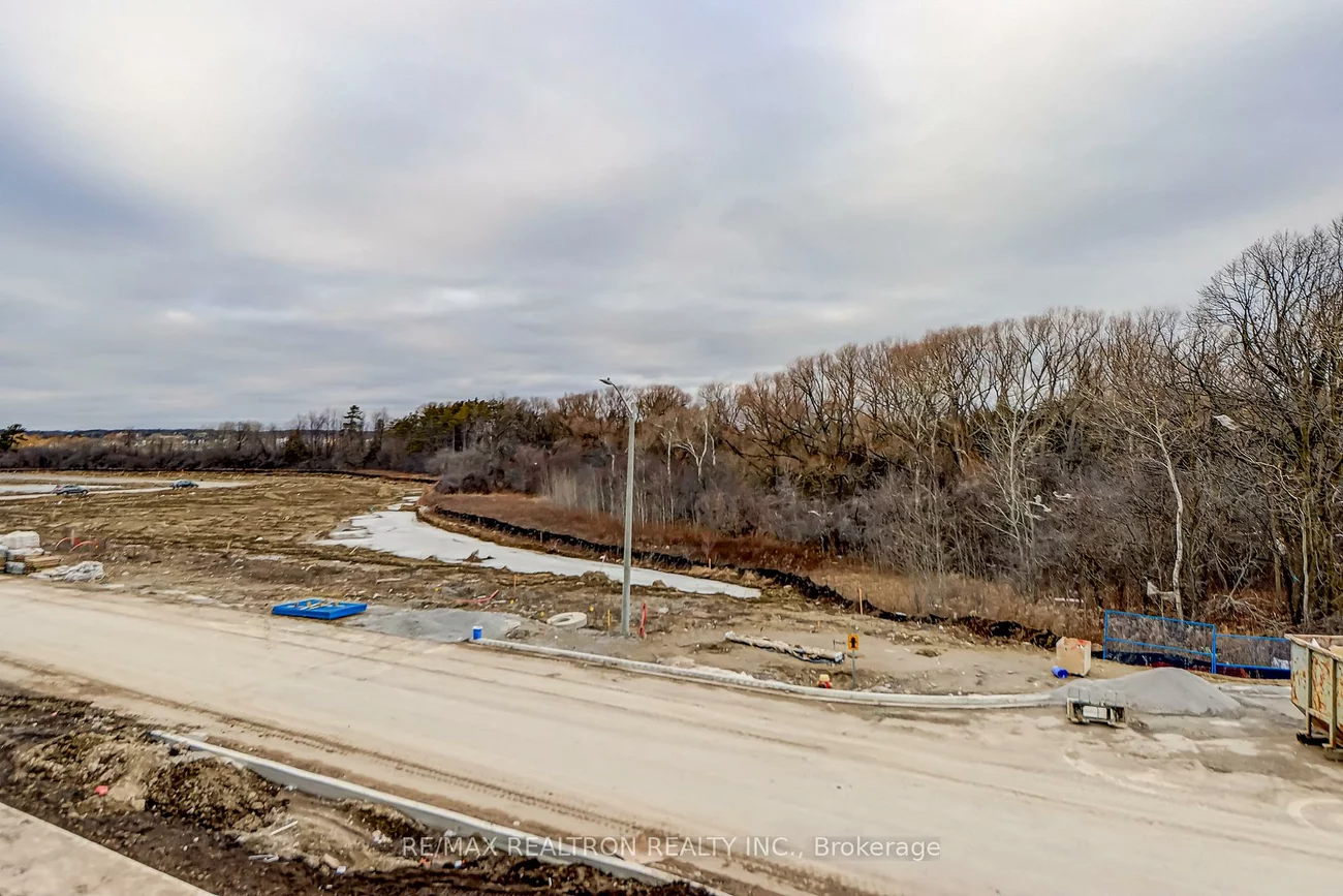 2, David Eyer, Rural Richmond Hill, Richmond Hill