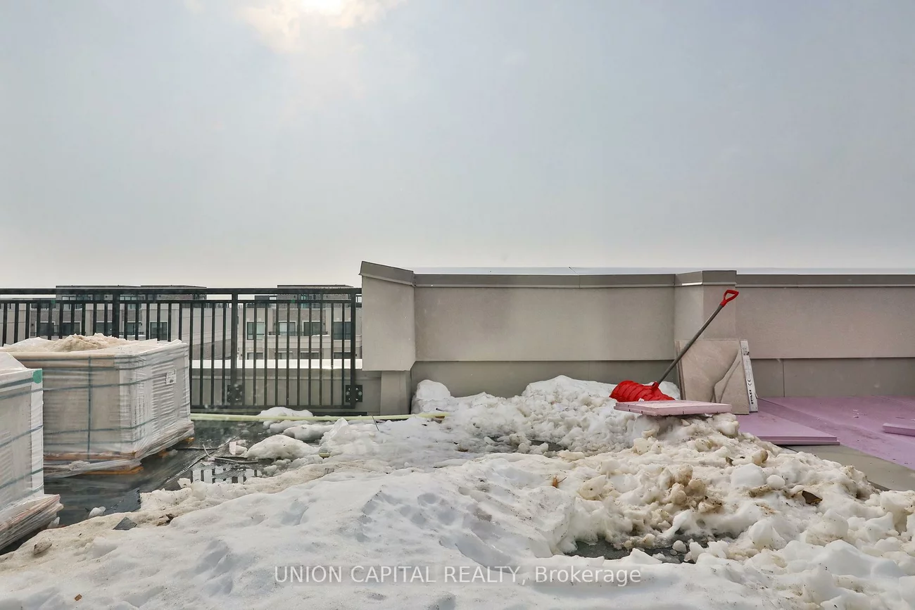 2, Red Squirrel, Rural Richmond Hill, Richmond Hill