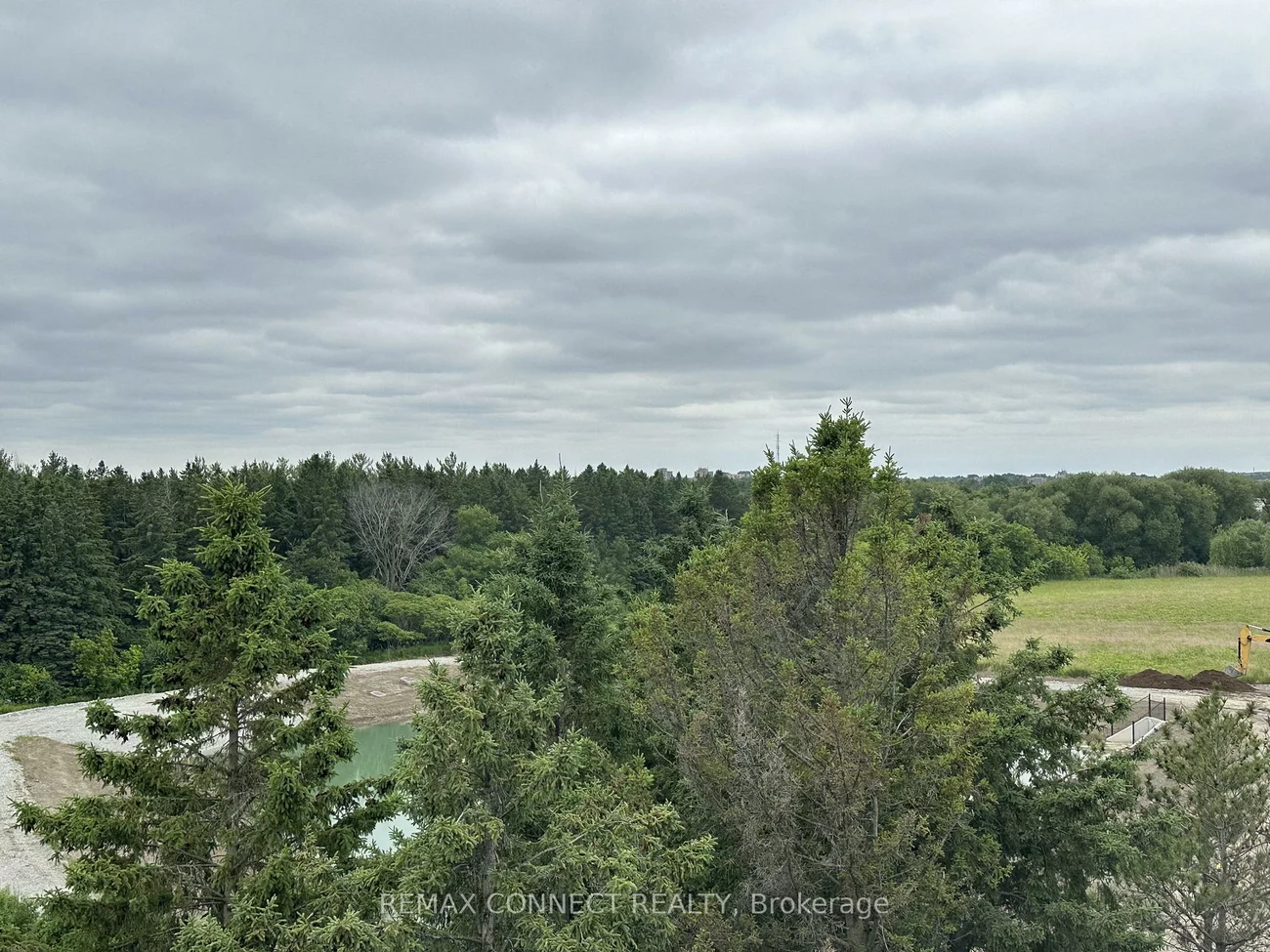 11, David Eyer, Rural Richmond Hill, Richmond Hill