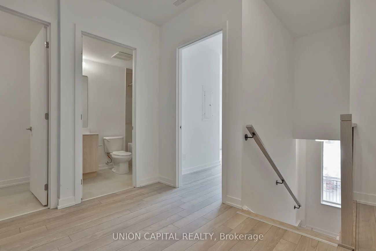 2, Red Squirrel, Rural Richmond Hill, Richmond Hill