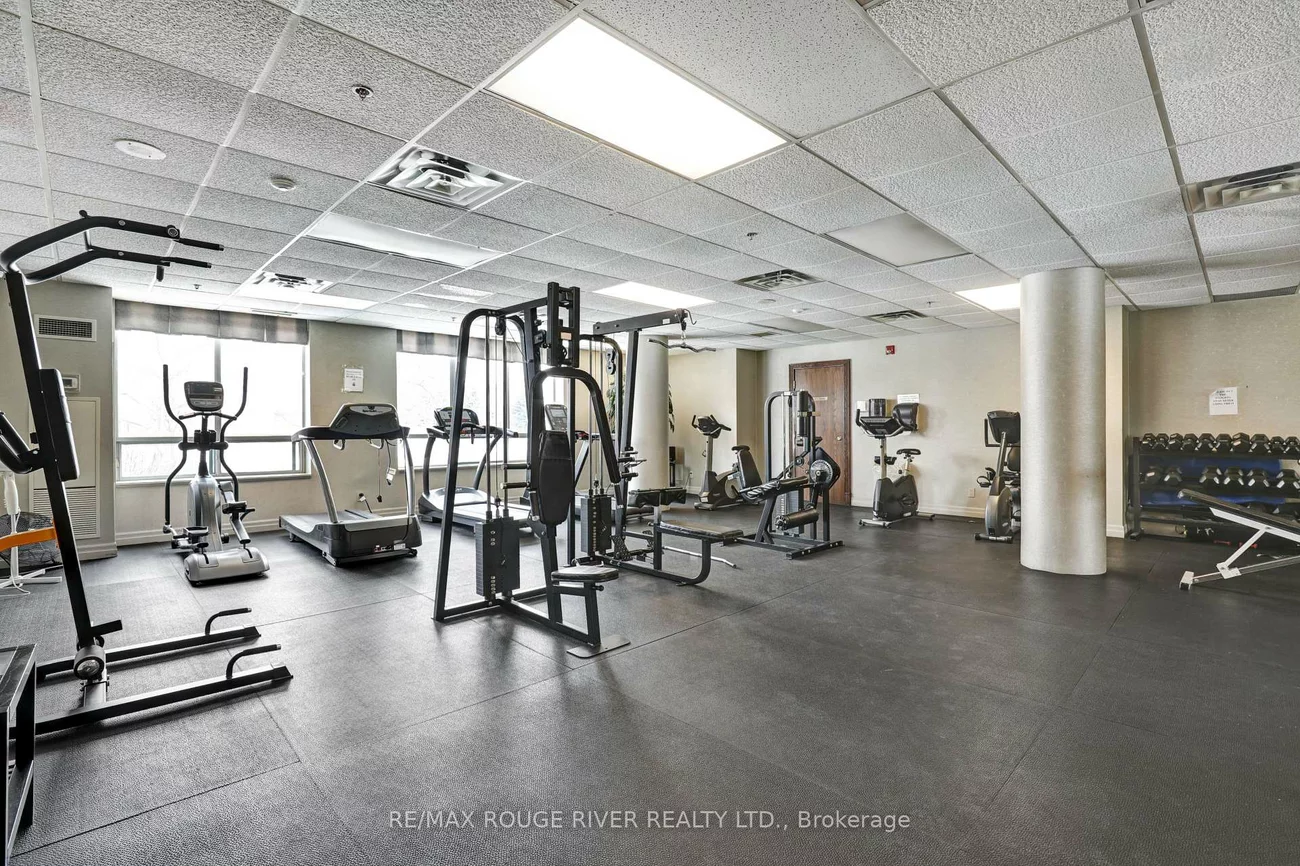 11, Oneida, Langstaff, Richmond Hill