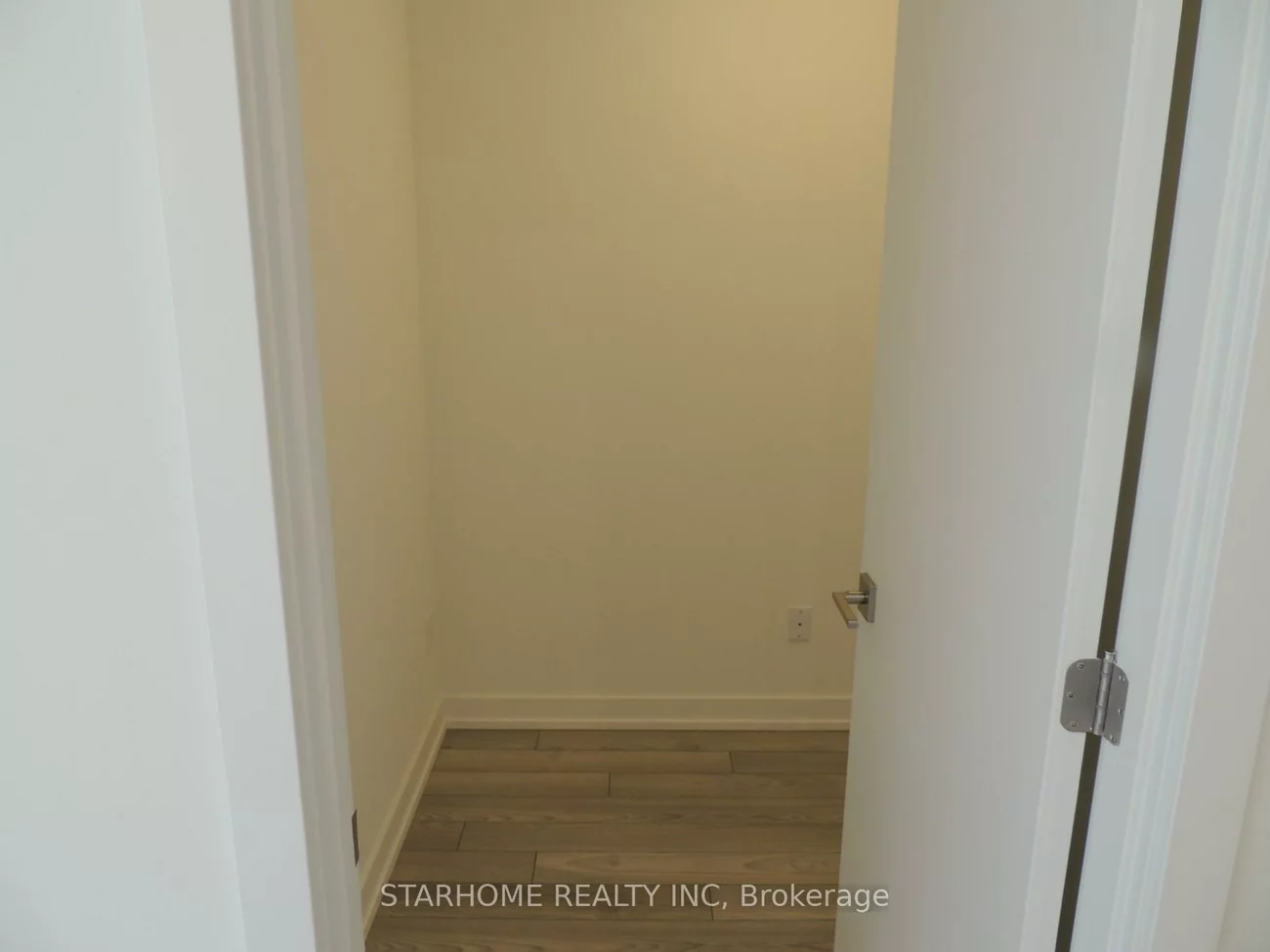 6, Red Squirrel, Rural Richmond Hill, Richmond Hill