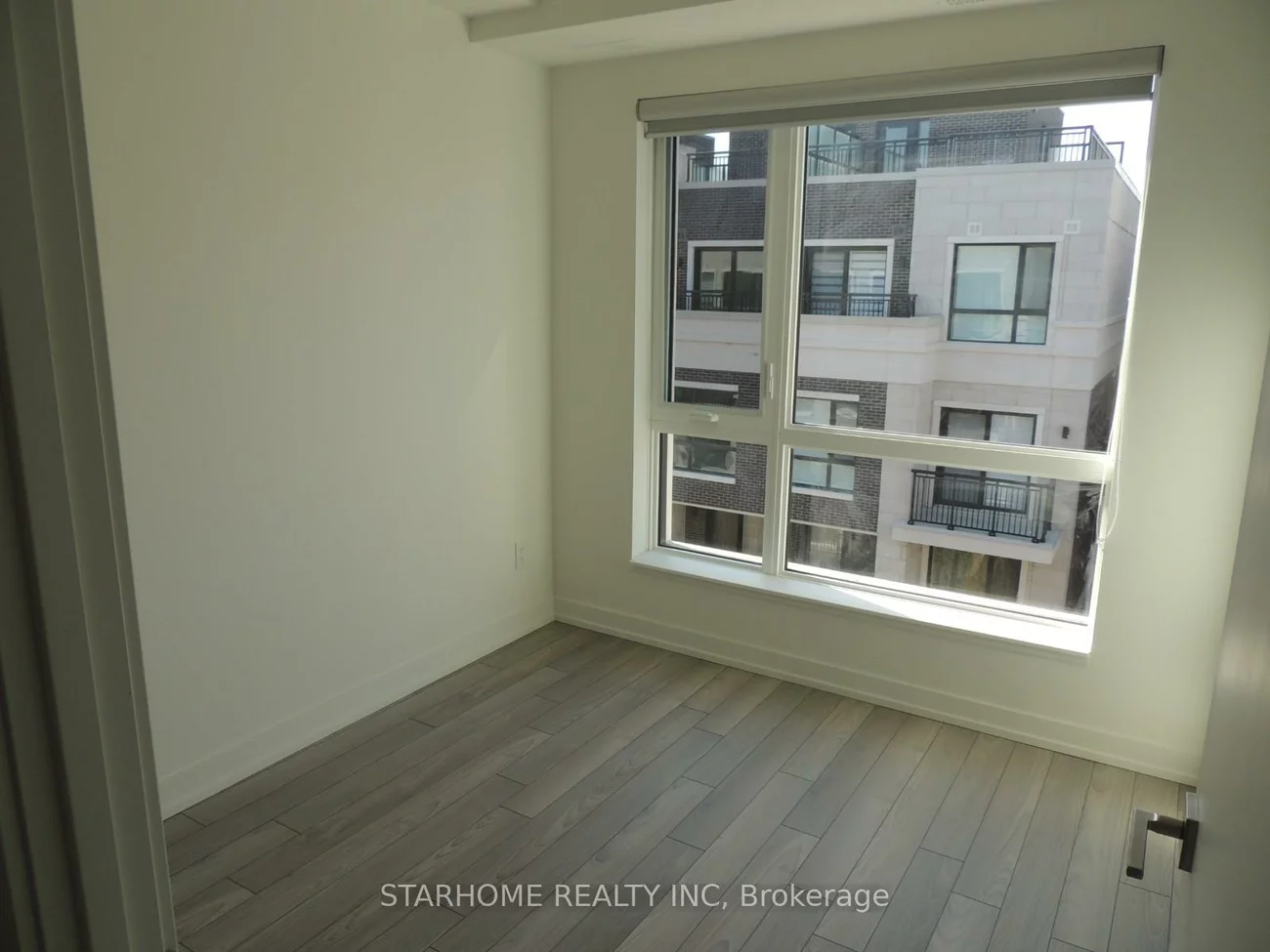 6, Red Squirrel, Rural Richmond Hill, Richmond Hill