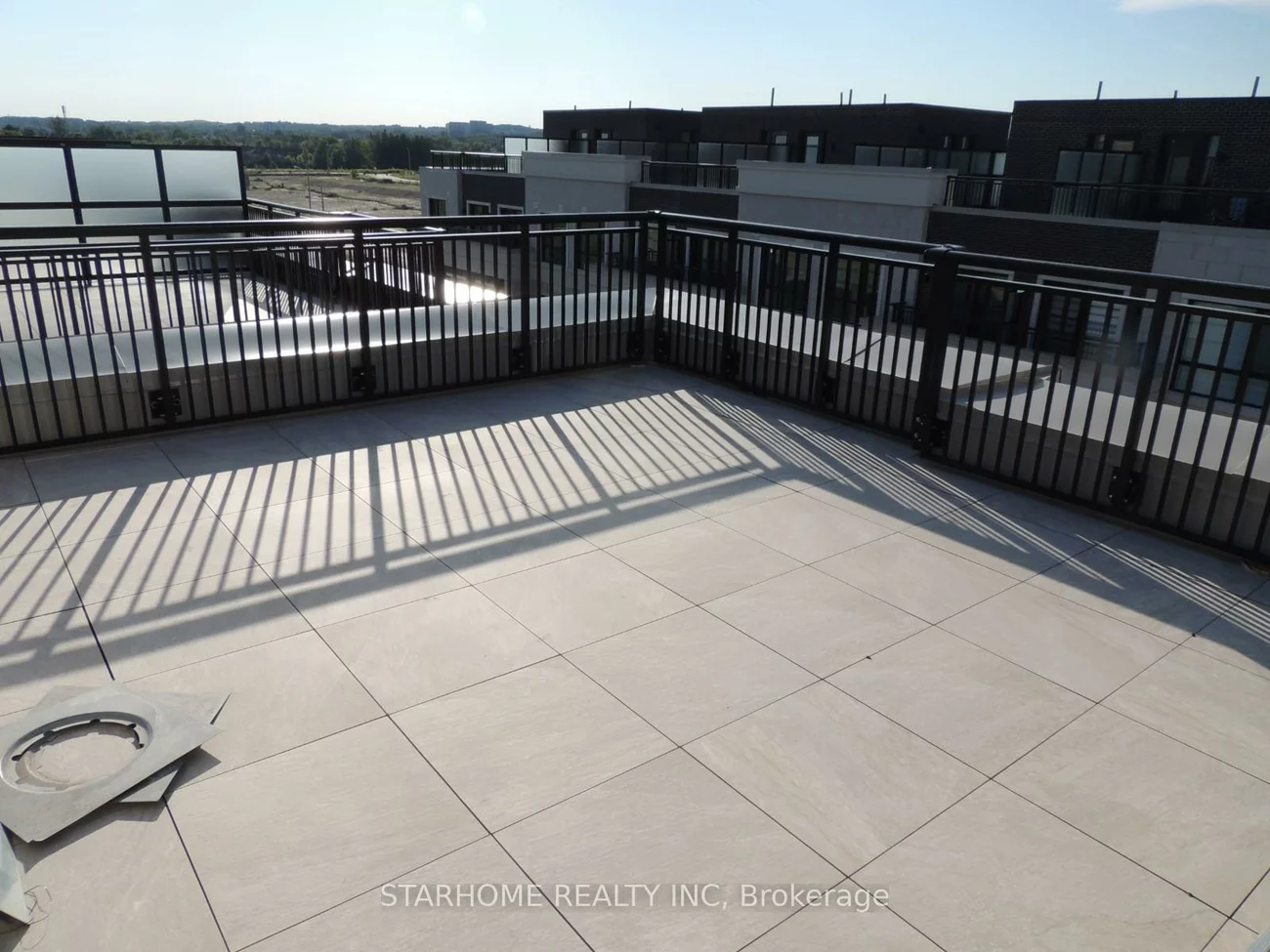 6, Red Squirrel, Rural Richmond Hill, Richmond Hill