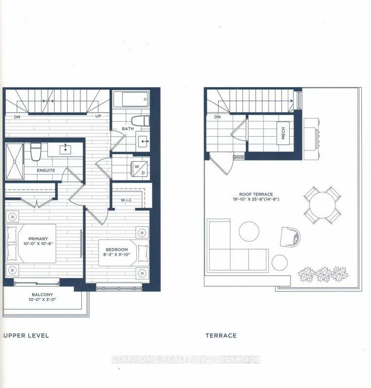 6, Red Squirrel, Rural Richmond Hill, Richmond Hill