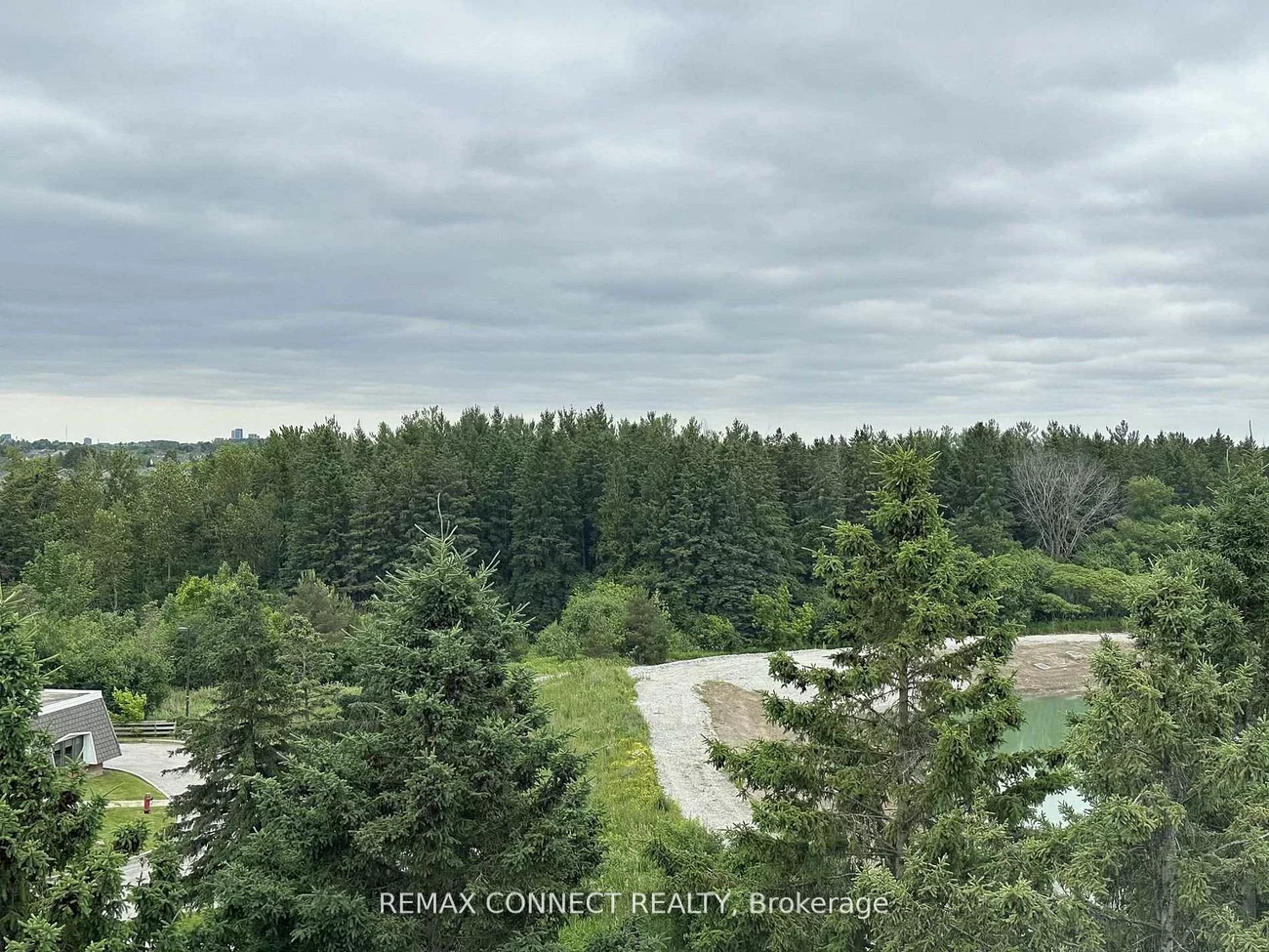 11, David Eyer, Rural Richmond Hill, Richmond Hill