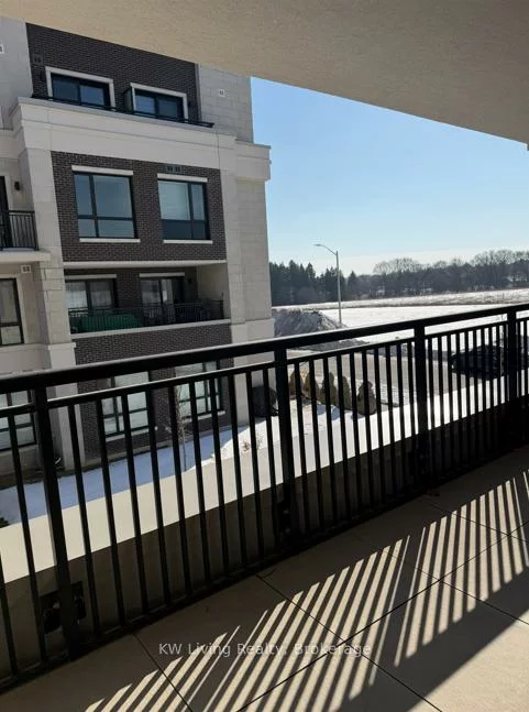 5, Red Squirrel, Rural Richmond Hill, Richmond Hill