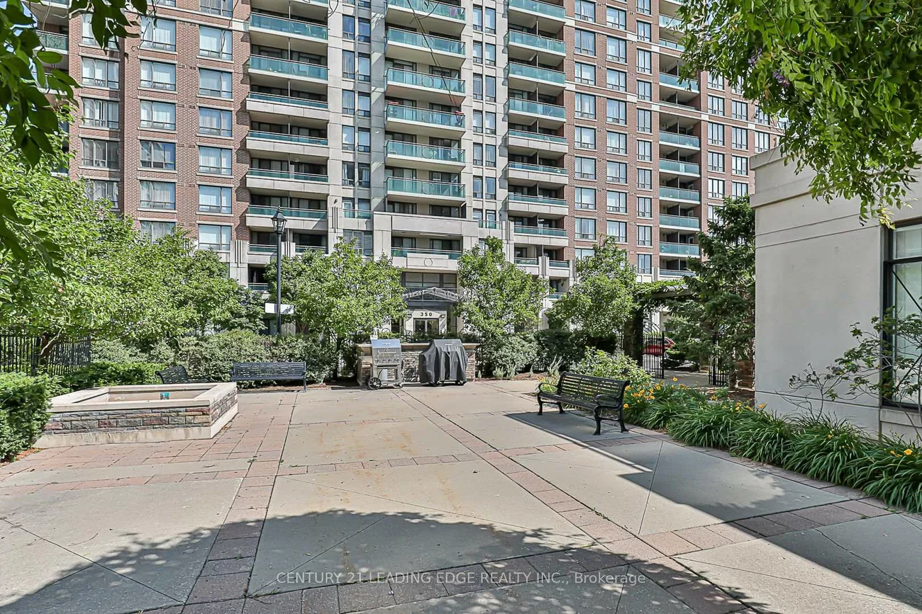 350, Red Maple, Langstaff, Richmond Hill