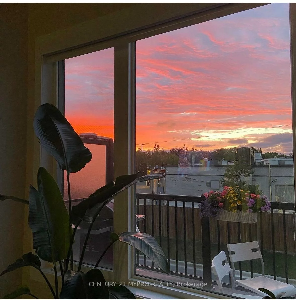 12, Ambler, Crosby, Richmond Hill