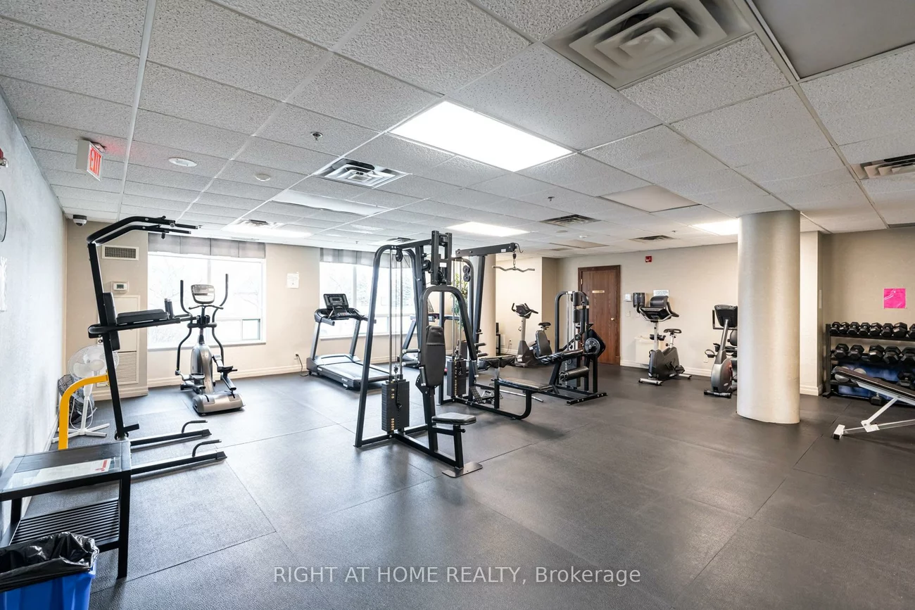 11, Oneida, Langstaff, Richmond Hill