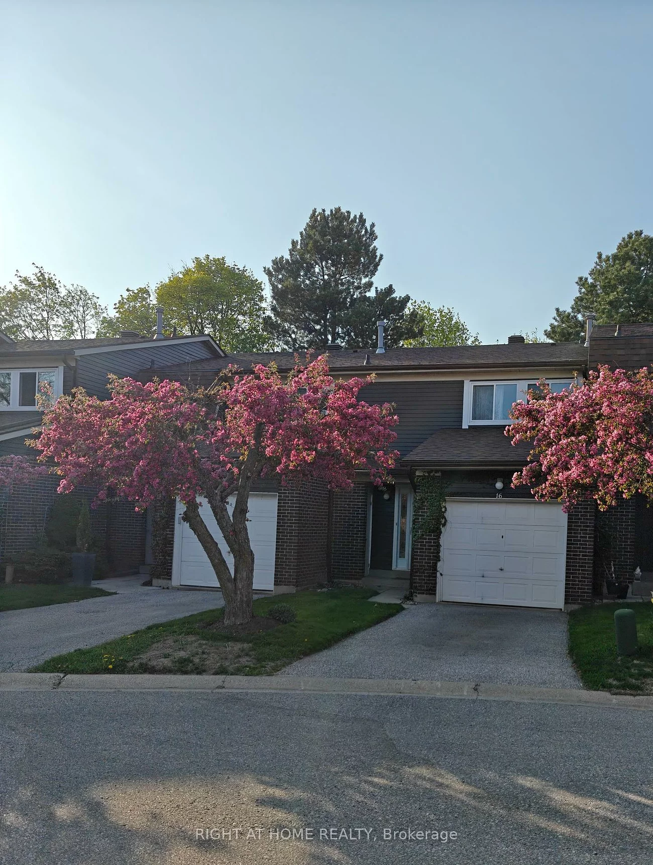 40, Castle Rock, North Richvale, Richmond Hill