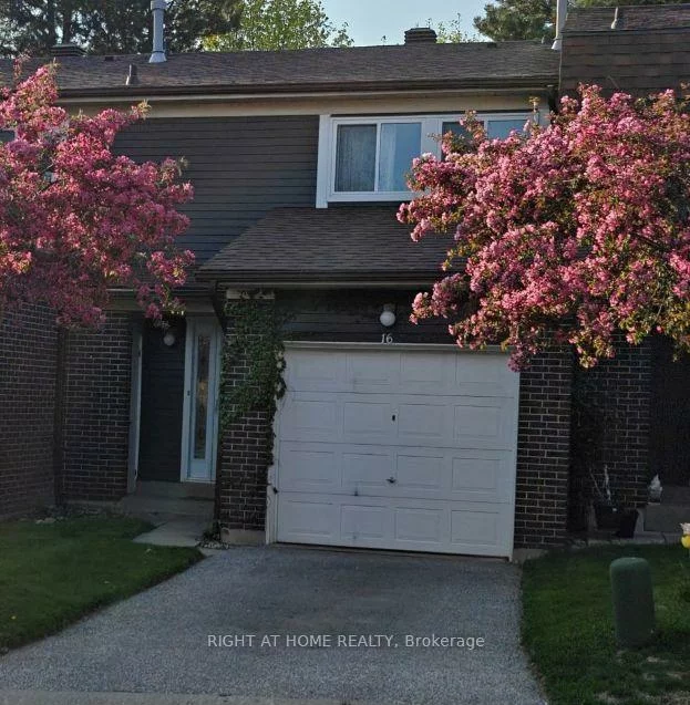 40, Castle Rock, North Richvale, Richmond Hill