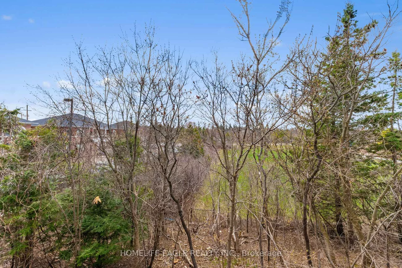 7, Phelps, Oak Ridges, Richmond Hill