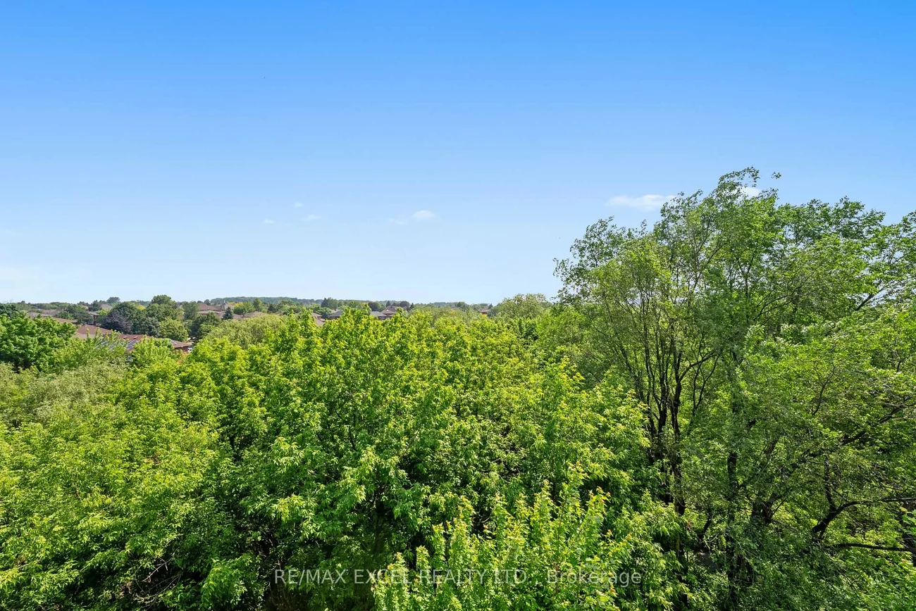 8763, Bayview, Doncrest, Richmond Hill