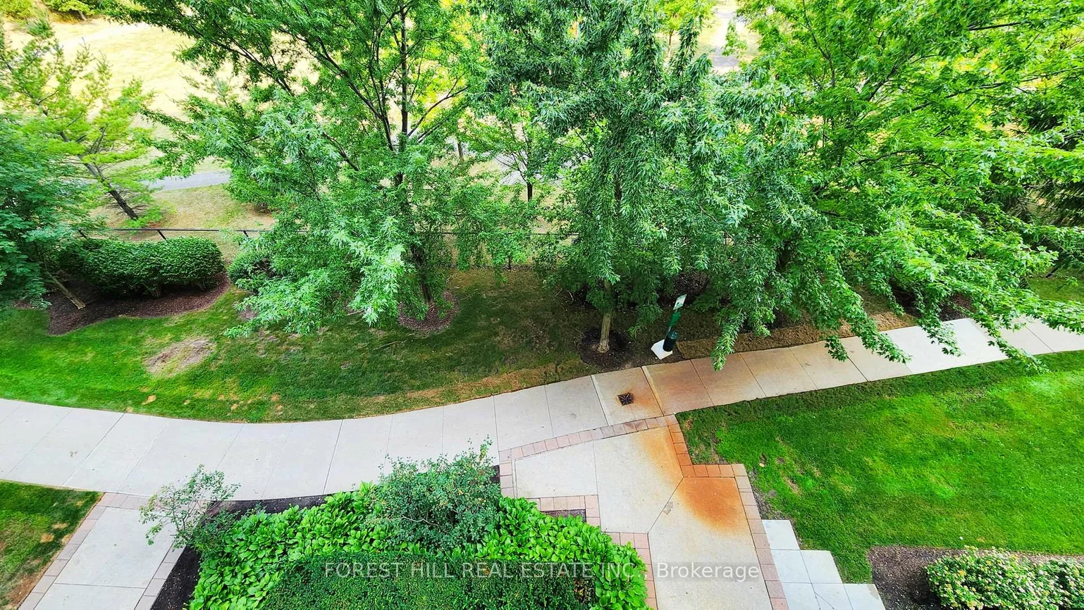350, Red Maple, Langstaff, Richmond Hill
