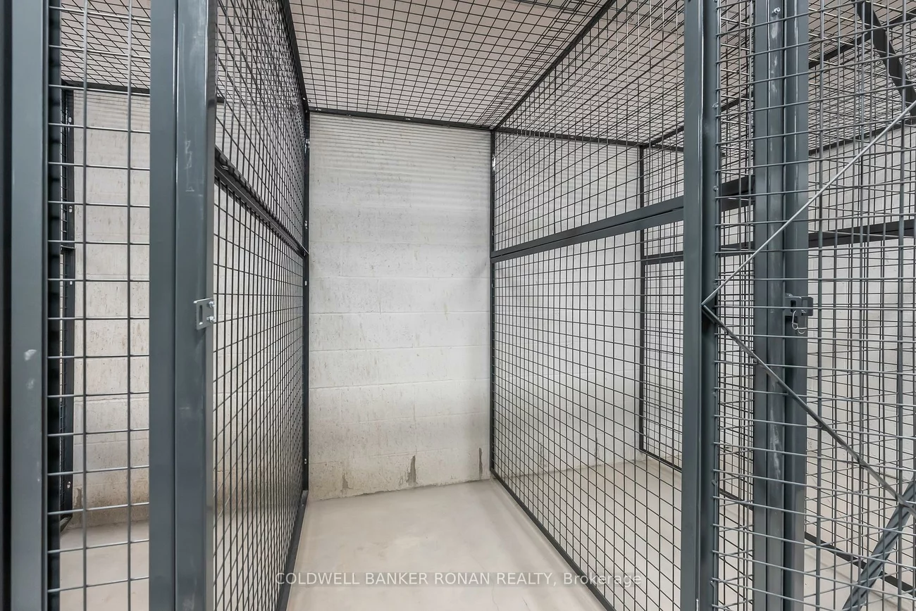 5, Red Squirrel, Rural Richmond Hill, Richmond Hill