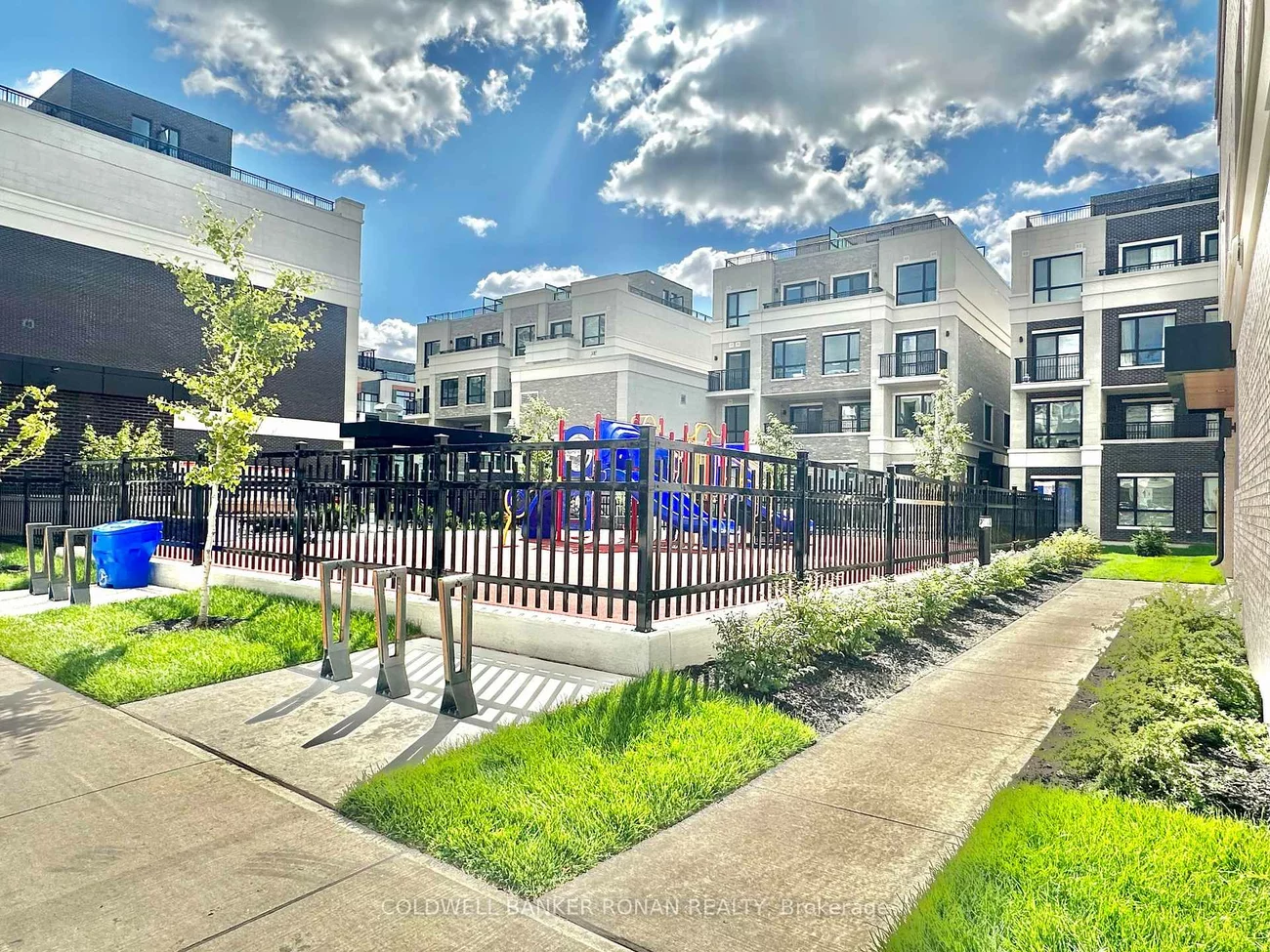 5, Red Squirrel, Rural Richmond Hill, Richmond Hill