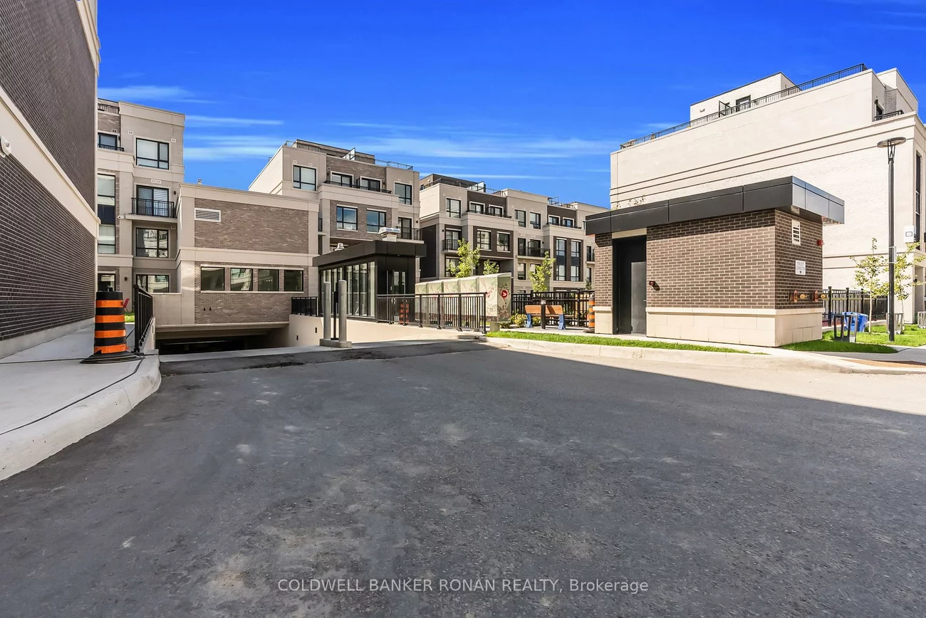 5, Red Squirrel, Rural Richmond Hill, Richmond Hill