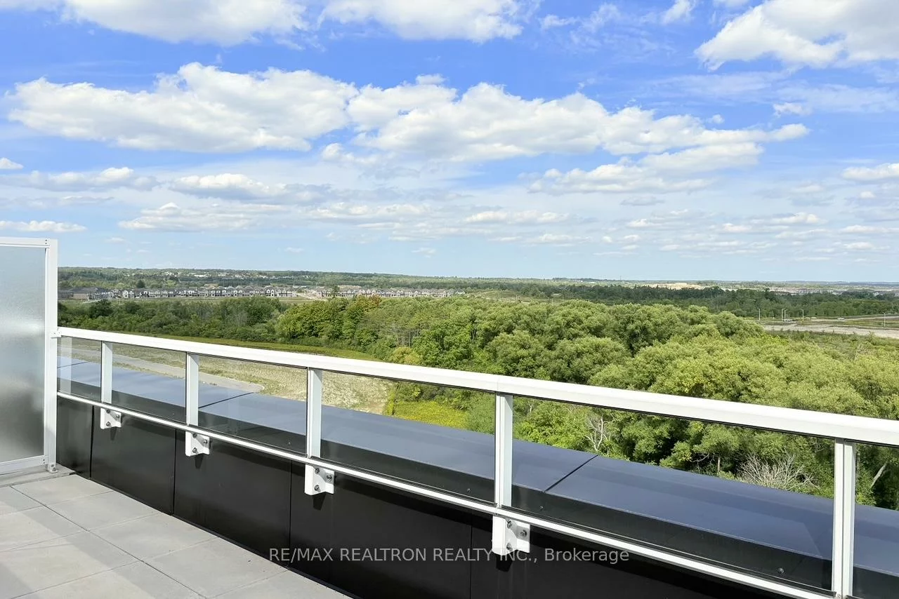 6, David Eyer, Rural Richmond Hill, Richmond Hill