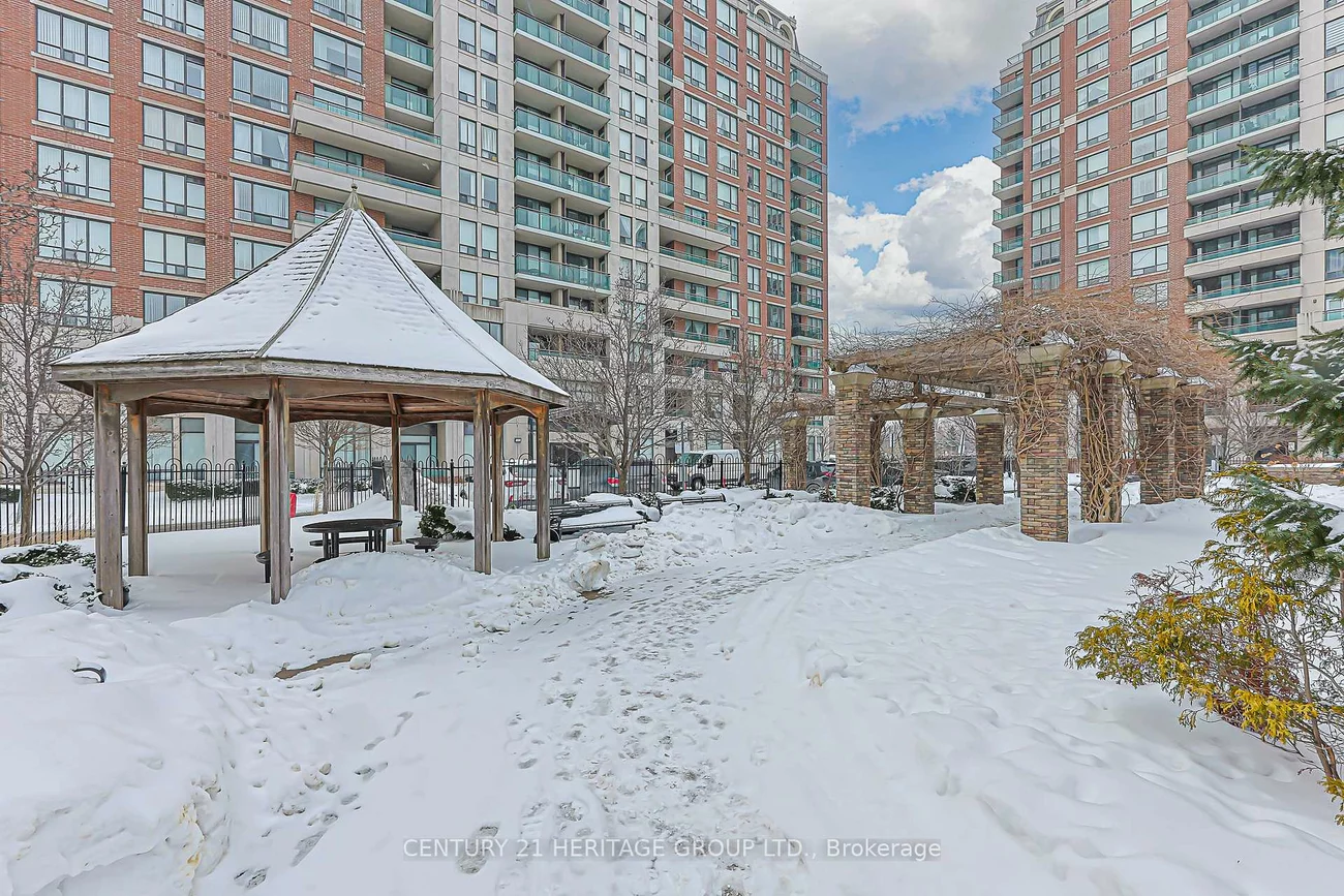 310, Red Maple, Langstaff, Richmond Hill