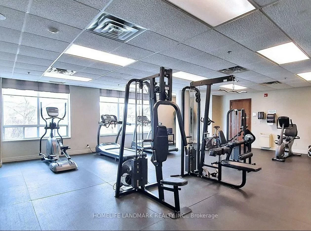 11, Oneida, Langstaff, Richmond Hill