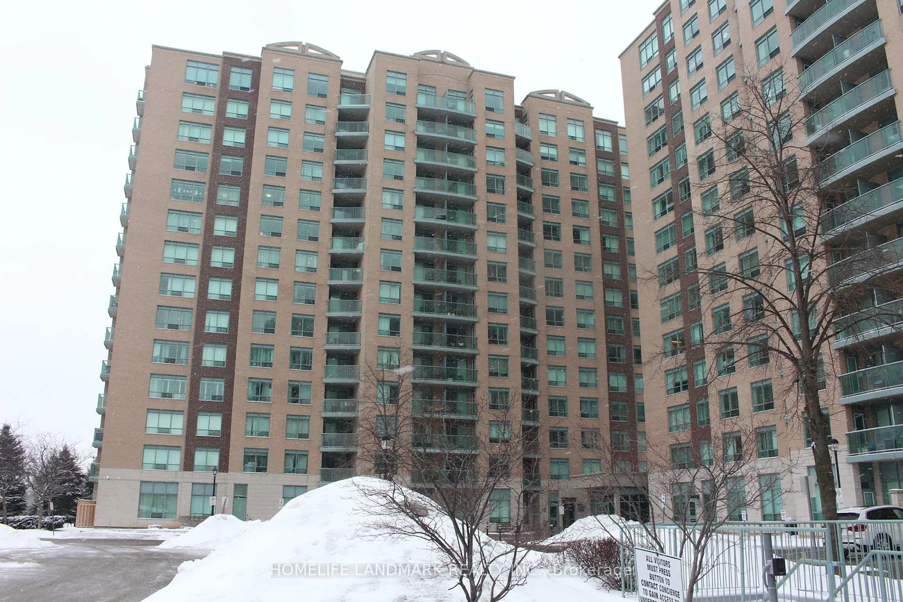 11, Oneida, Langstaff, Richmond Hill