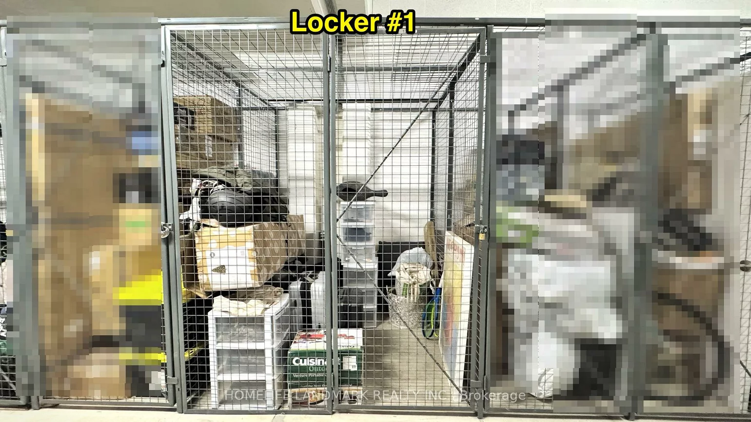 6, David Eyer, Rural Richmond Hill, Richmond Hill