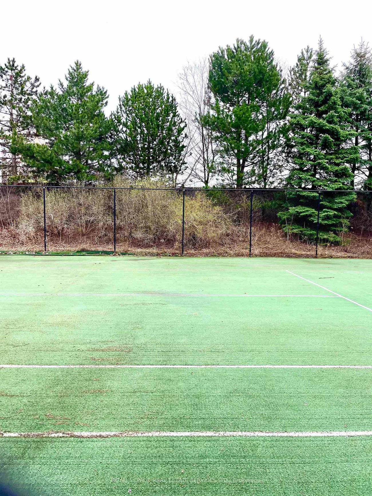 29, Northern Heights, Langstaff, Richmond Hill