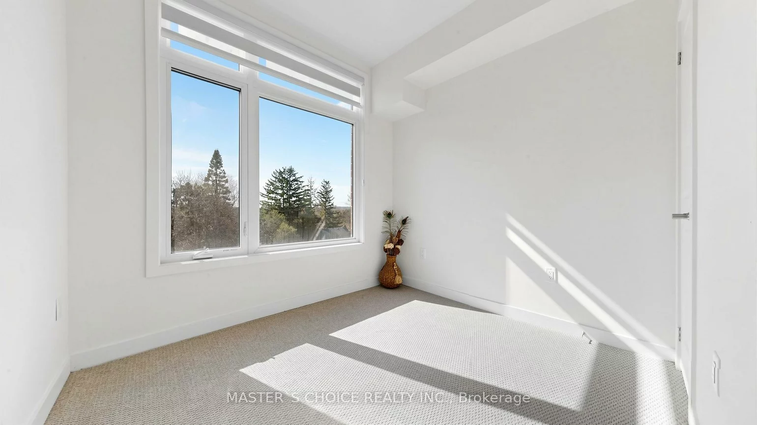 56, Elizabeth, Mill Pond, Richmond Hill