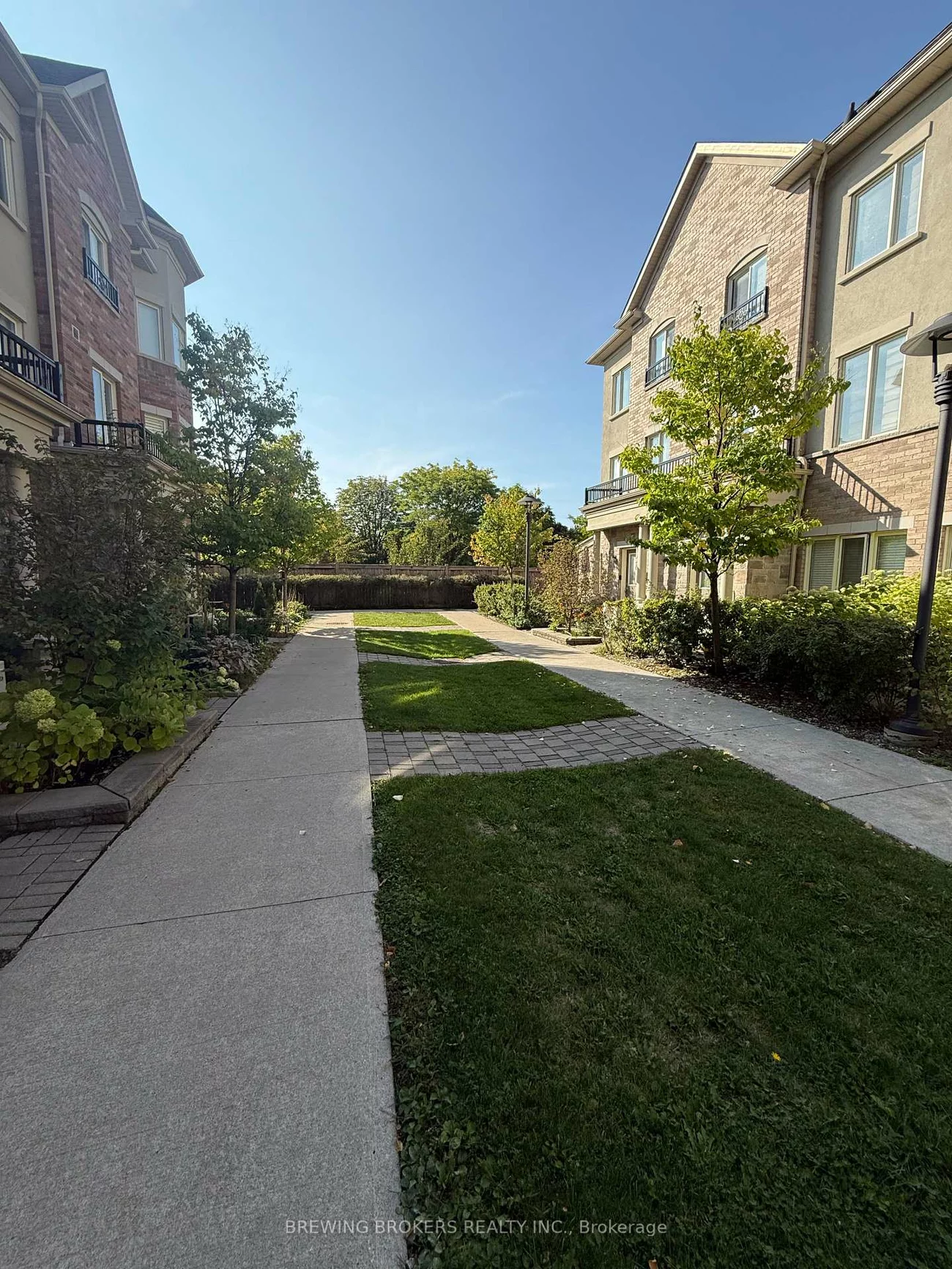 27, Coneflower, Westminster-Branson, Toronto