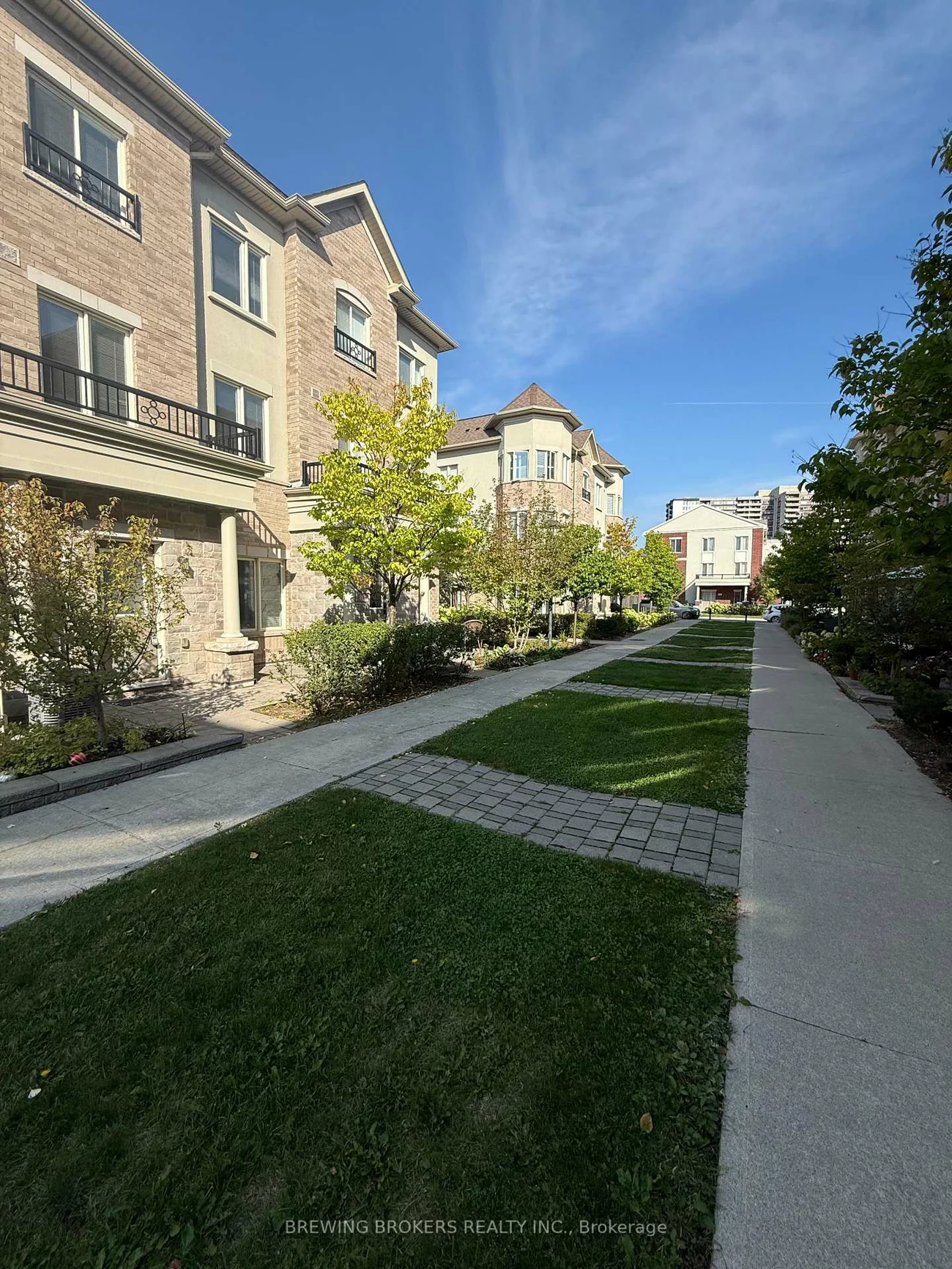 27, Coneflower, Westminster-Branson, Toronto