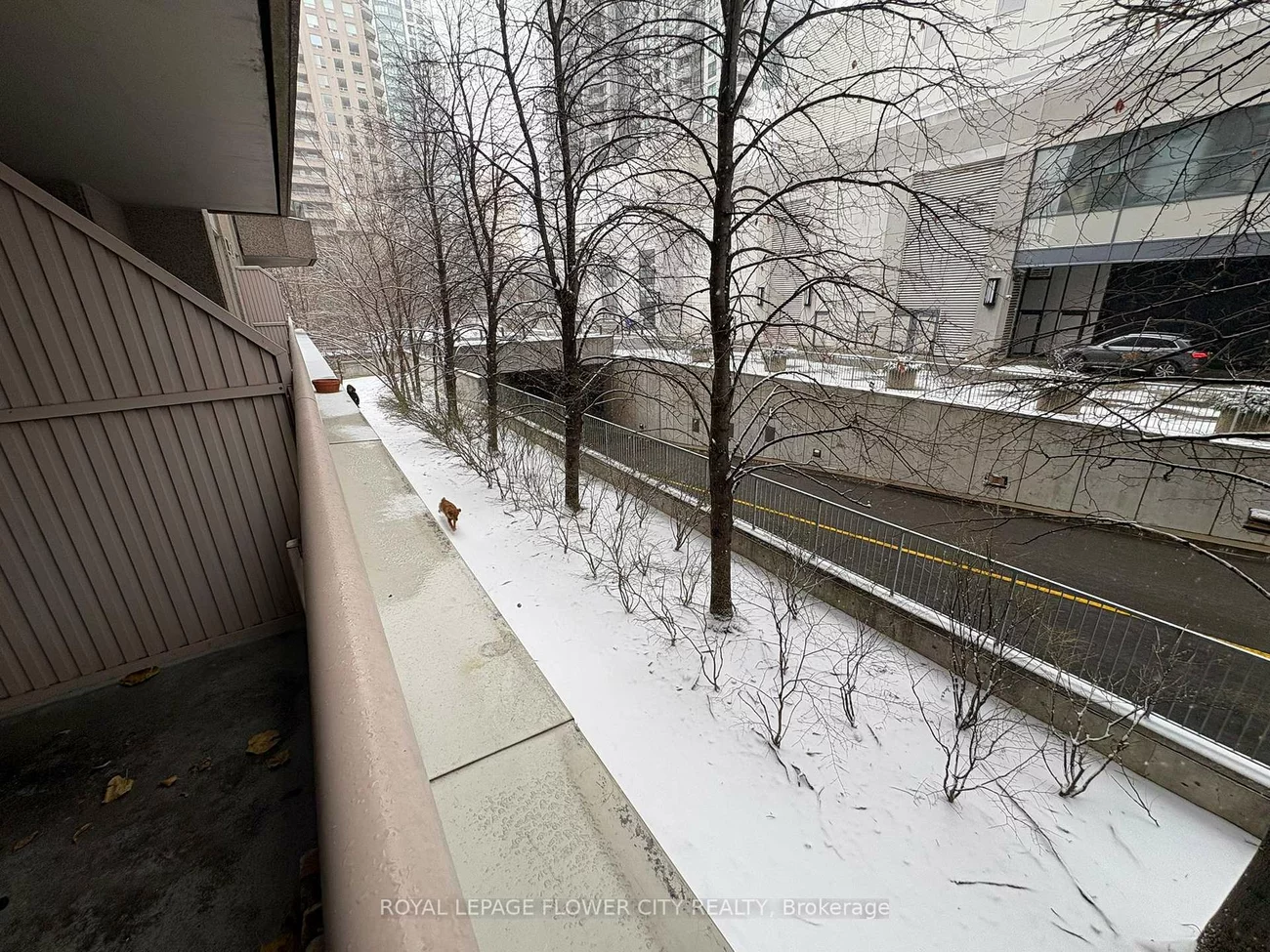 35, Empress, Willowdale East, Toronto