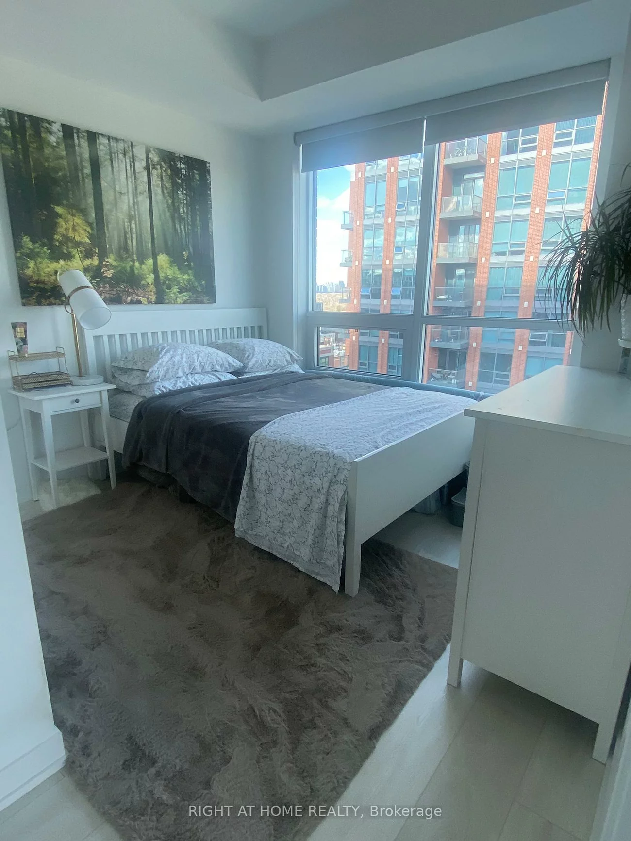 31, tippett, Clanton Park, Toronto