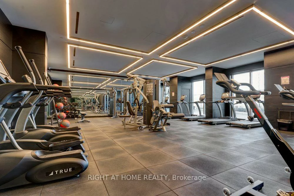 31, tippett, Clanton Park, Toronto