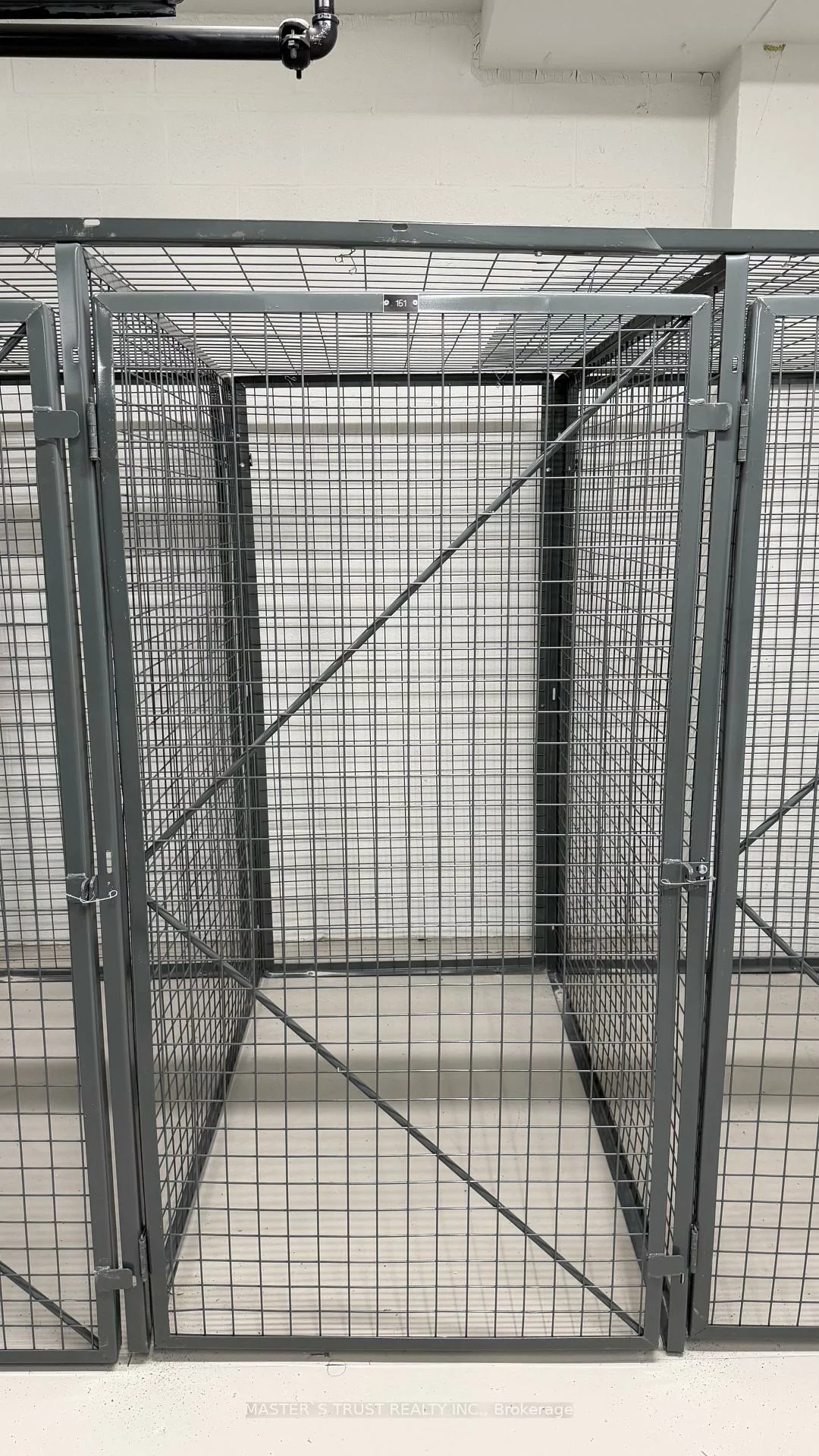 30, Dreamers, Regent Park, Toronto