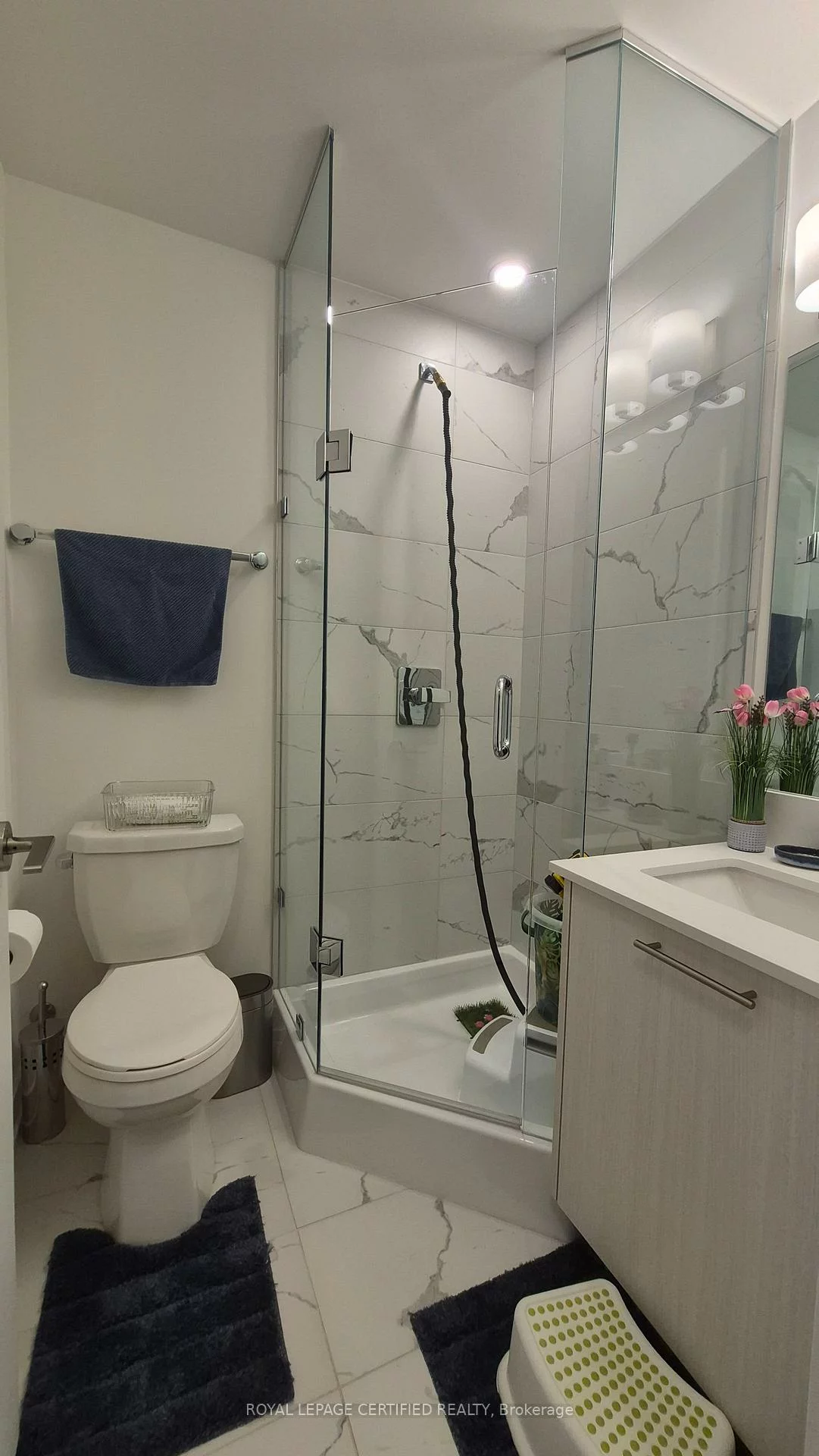 851, Sheppard, Clanton Park, Toronto