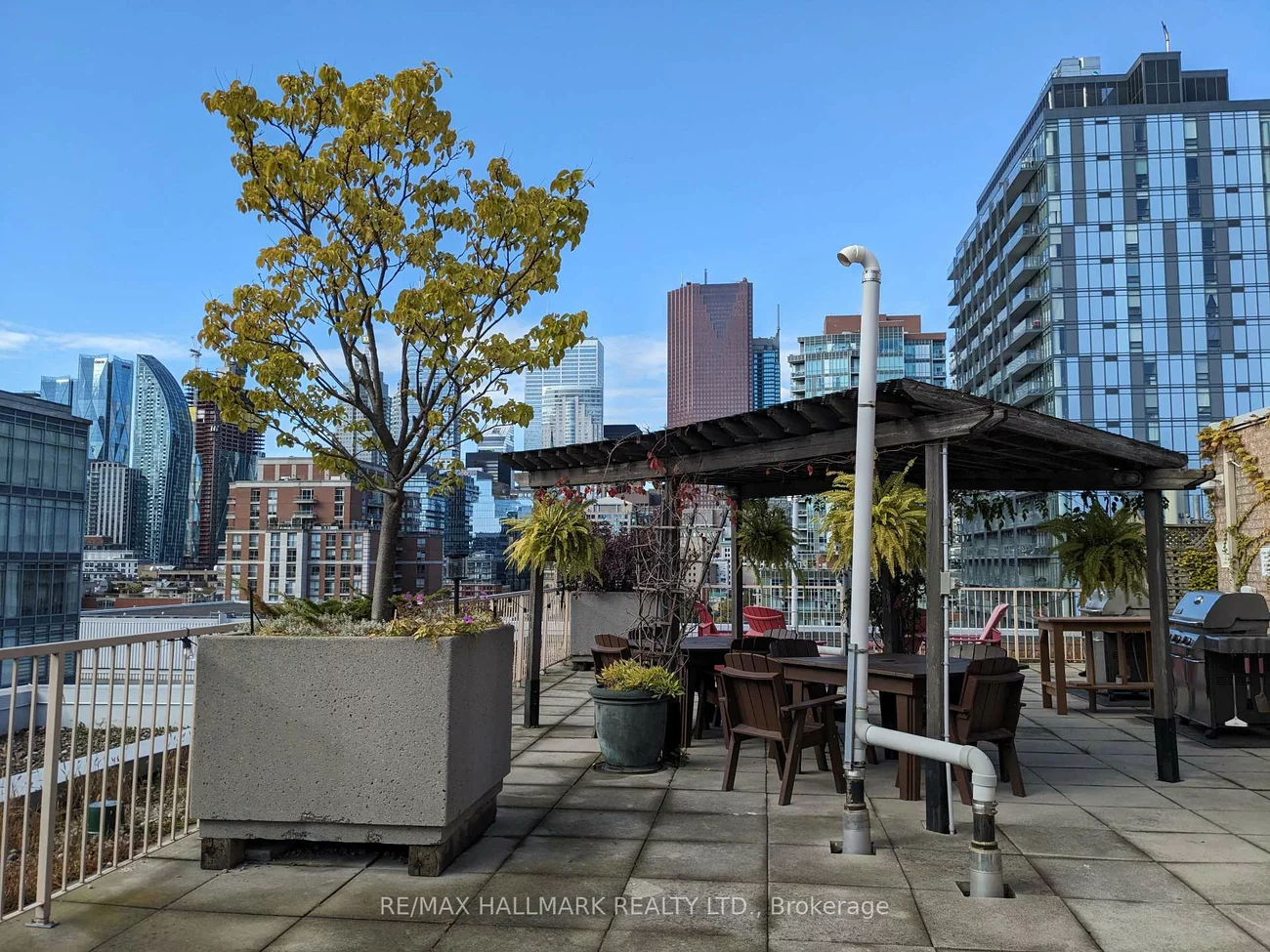 330, Adelaide, Moss Park, Toronto