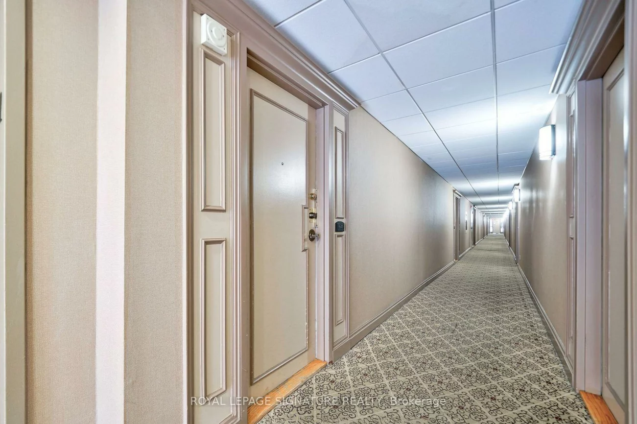 53, Mccaul, Kensington-Chinatown, Toronto