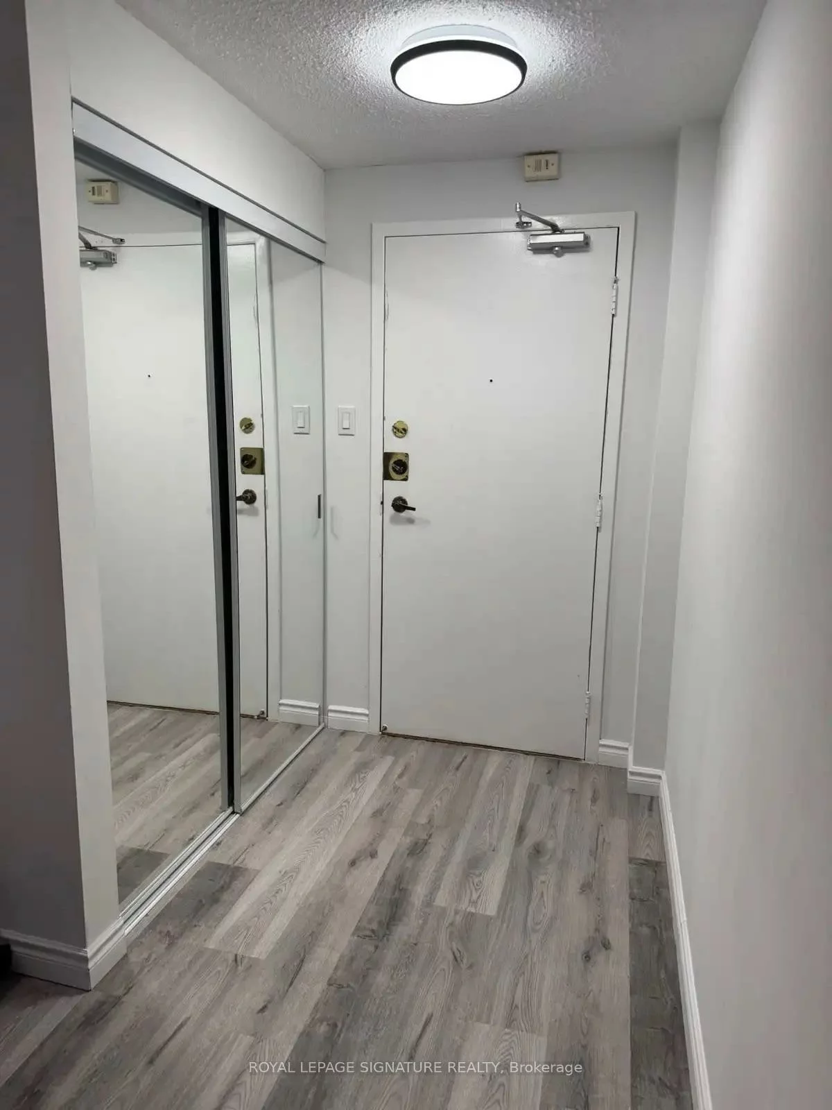 53, Mccaul, Kensington-Chinatown, Toronto