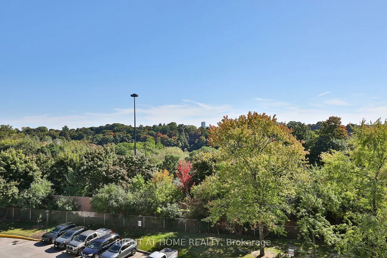 35, Sunny, Flemingdon Park, Toronto