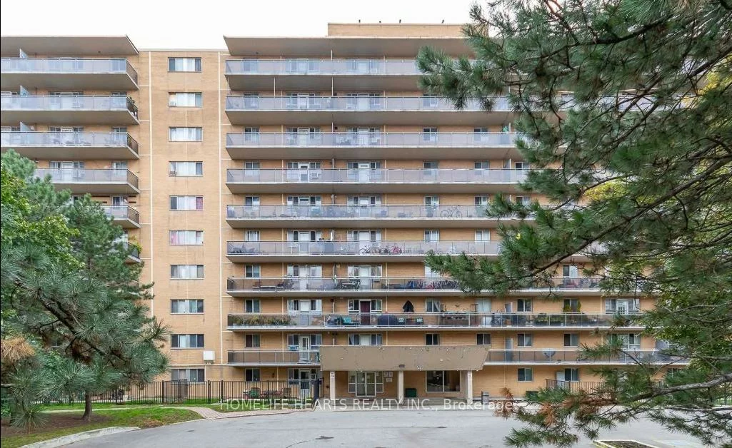 100, Dundalk, Dorset Park, Toronto