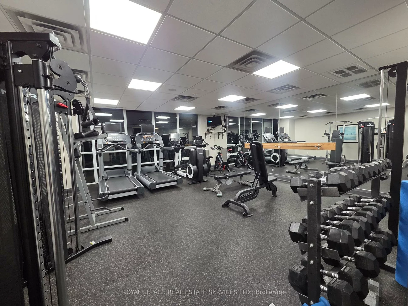 1900, Lake Shore, High Park-Swansea, Toronto