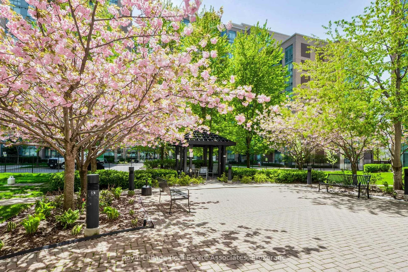 11, Michael Power, Islington-City Centre West, Toronto