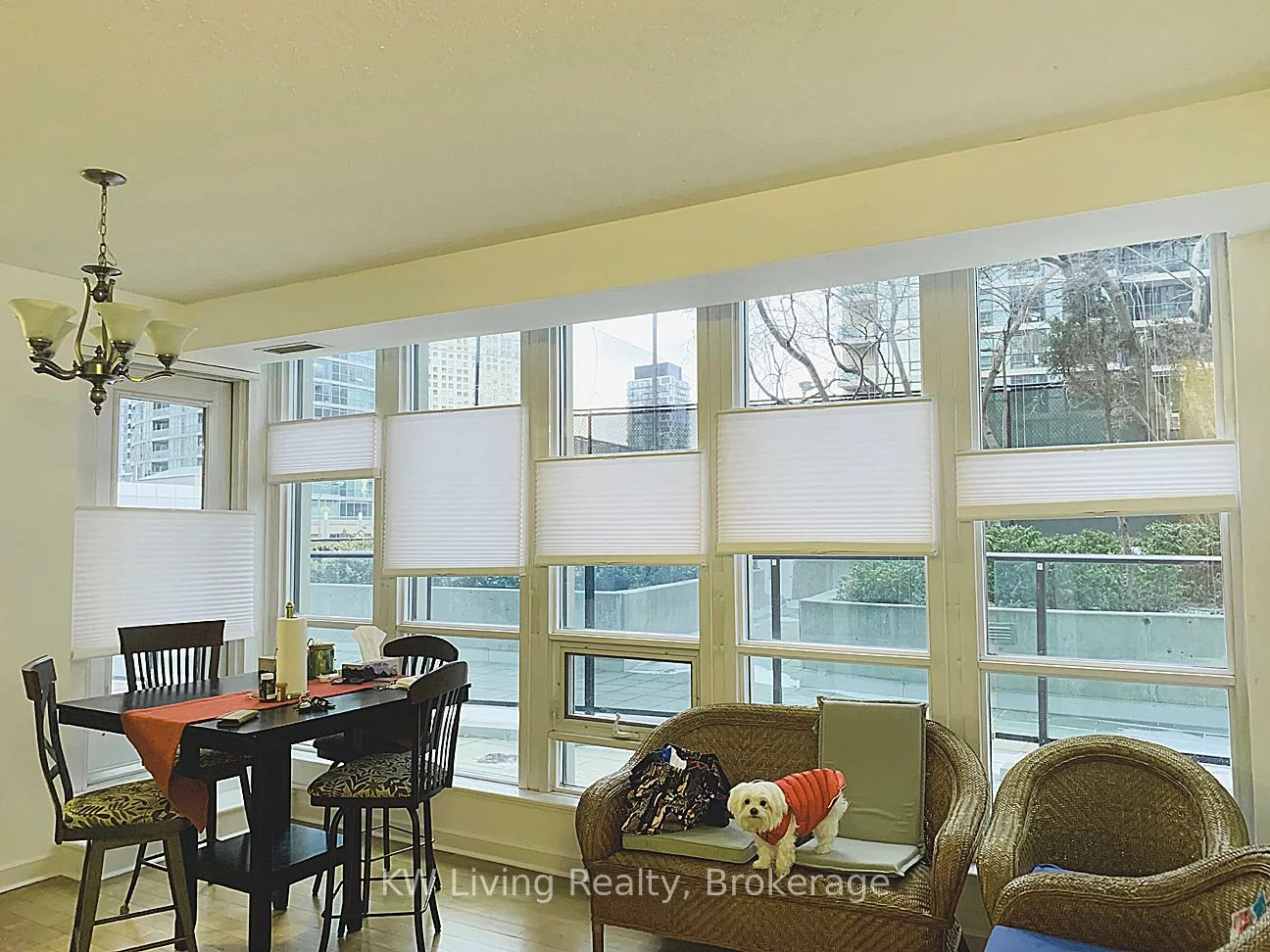 18, Harbour, Waterfront Communities C1, Toronto