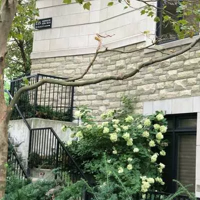115, Harrison Garden, Willowdale East, Toronto
