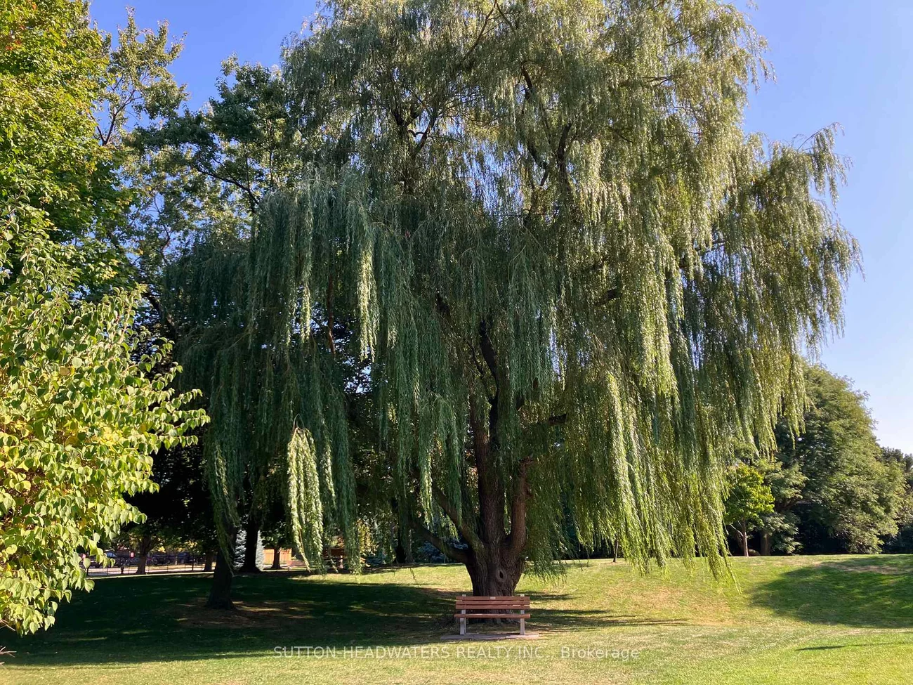 5, Old Sheppard, Pleasant View, Toronto