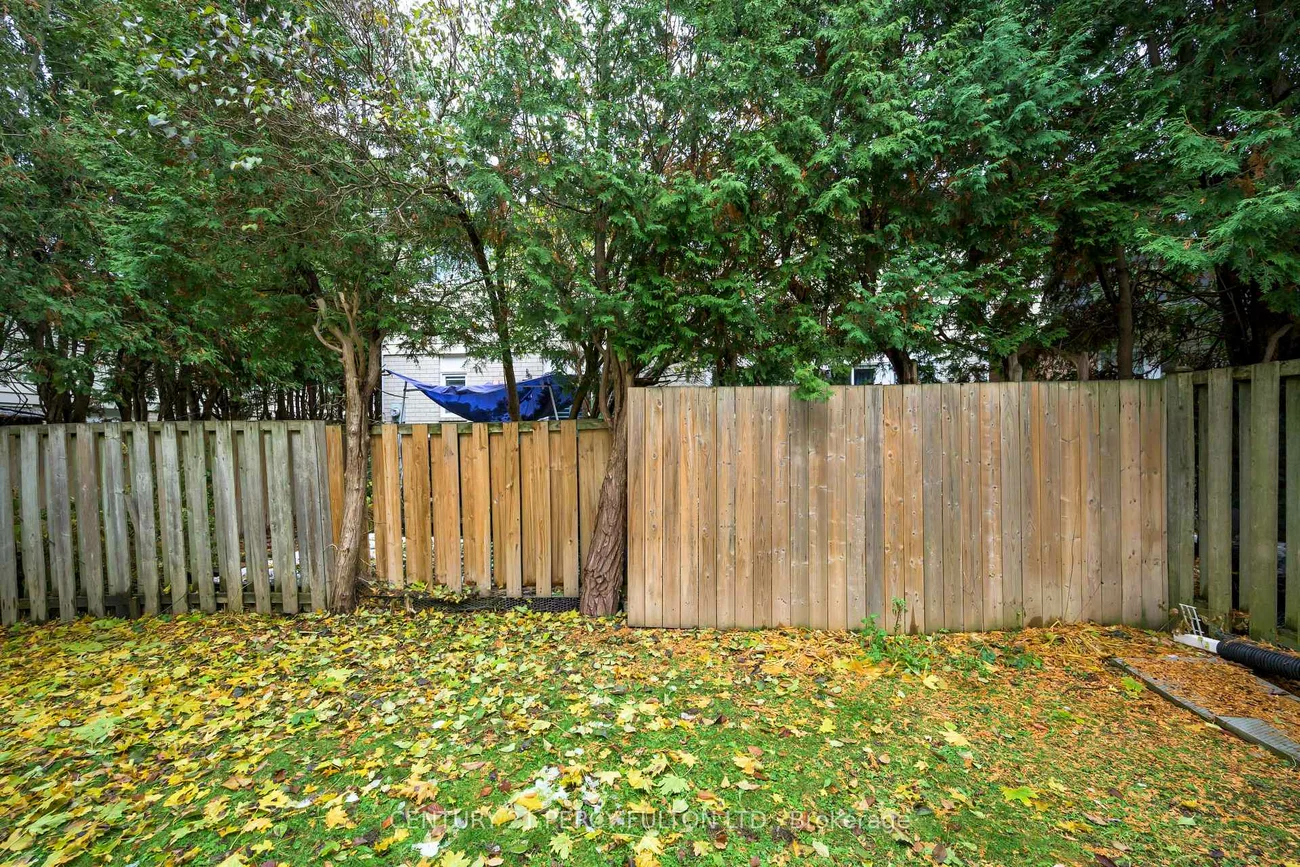 94, Plum Tree, Westminster-Branson, Toronto