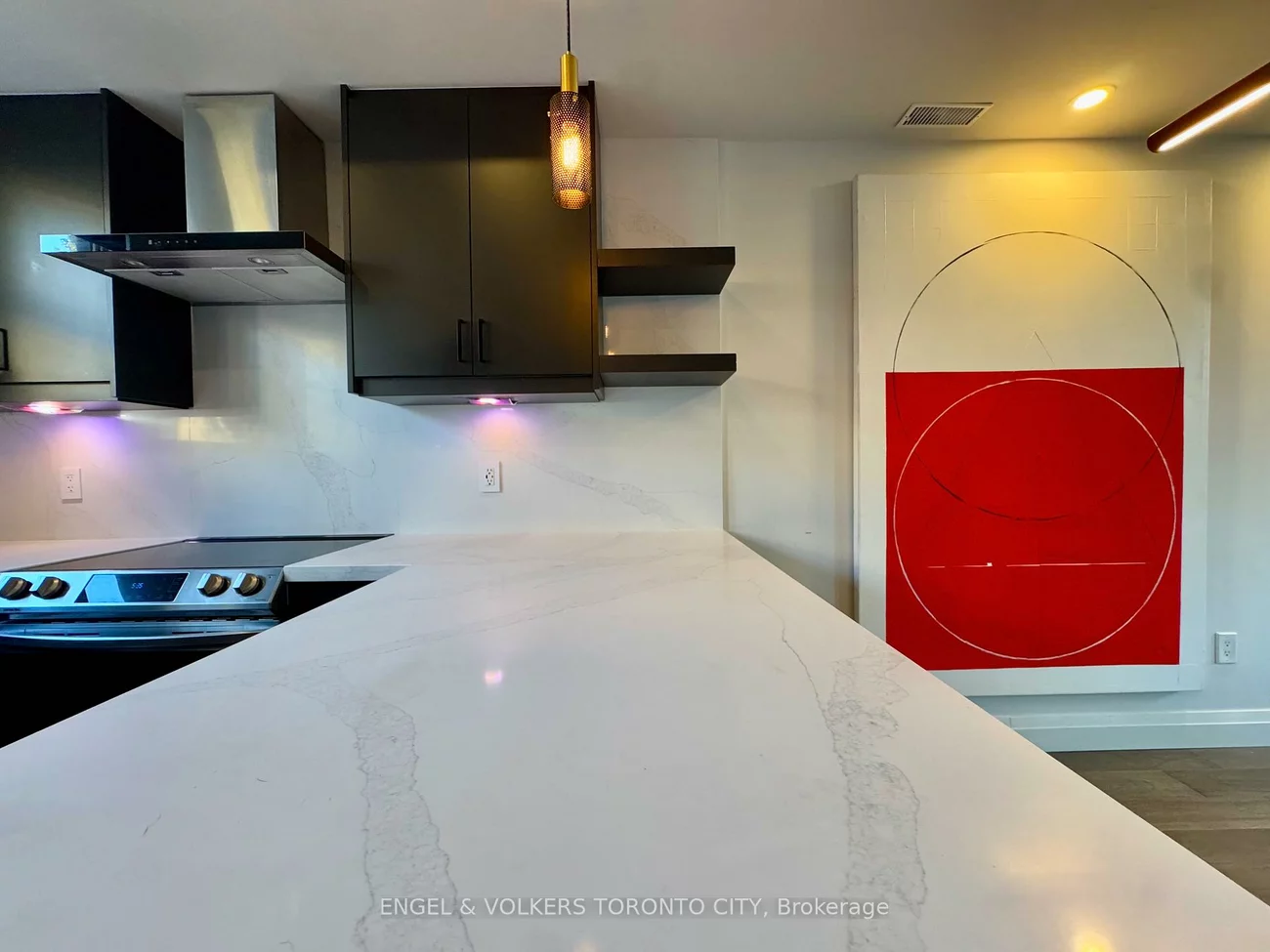 51, Halton, Trinity-Bellwoods, Toronto