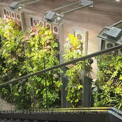 35, Brian Peck, Thorncliffe Park, Toronto