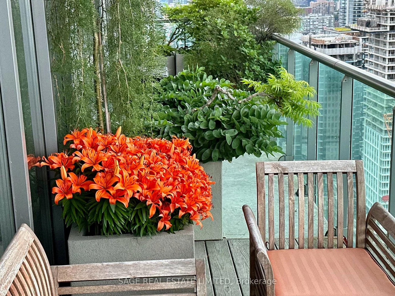 33, Lombard, Church-Yonge Corridor, Toronto